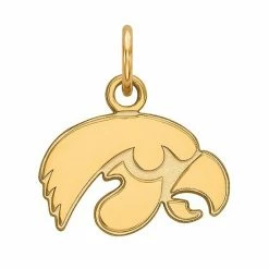 LogoArt Women's 14k Yellow Gold Iowa Hawkeyes Extra-Small Pendant Charm